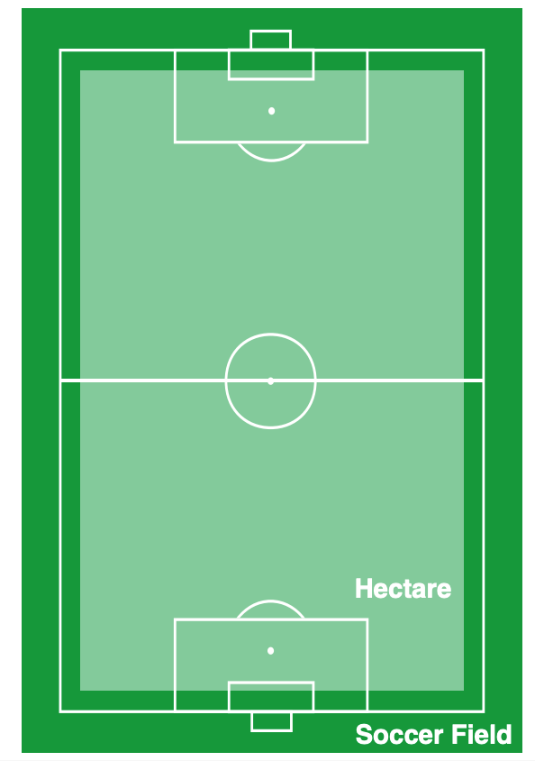 A graphic of a soccer field