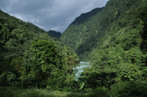 Rolling hills covered in trees