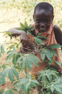 A child pointing at a birds nest in a tree limb