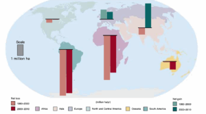 A map showing the loss of forests is increasing carbon emissions into the atmosphere