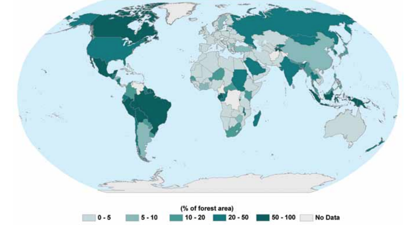 A graphic showing the percentage of forest land in each country classified as primary forest in 2010.