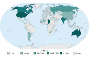 A globe graphic showing average area of forest damaged by fire yearly by country, 2005.