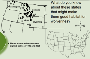 The Northwestern part of the U.S. showing wolverine range