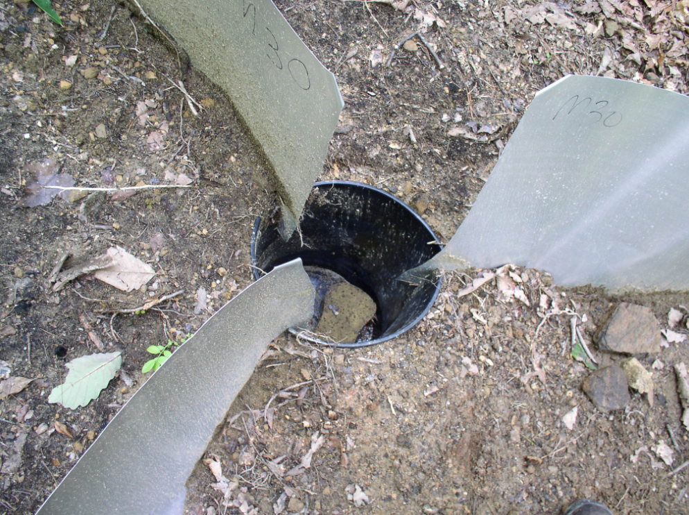 Pitfall trap in the ground