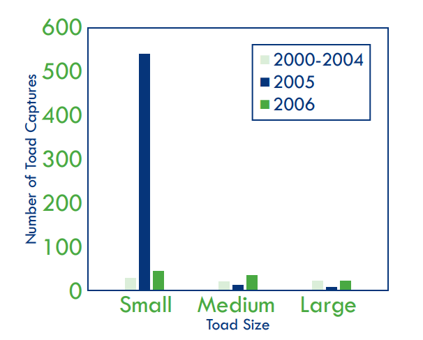a graph showing the average number of toads captured each month at all sites over 7 years.