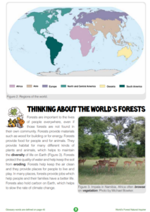 A screenshot of the Thinking About World's Forests section 