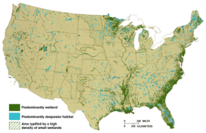 A map of the U.S. highlighting the wetlands