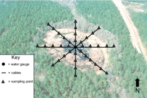 Illustration of the sampling method