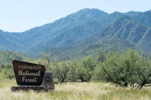 A mountainside covered in trees and the sign for Coronado National Forest