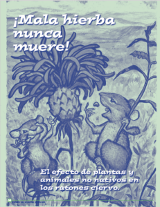 Cover of Goll-ly Don't Take a Knapweed! in Spanish