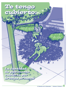 Cover for I've Got You Covered article in Spanish