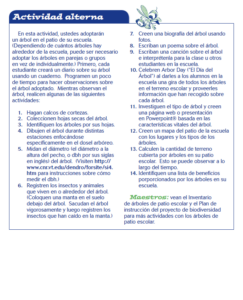 I've Got You Covered Alternate FACTivity in Spanish