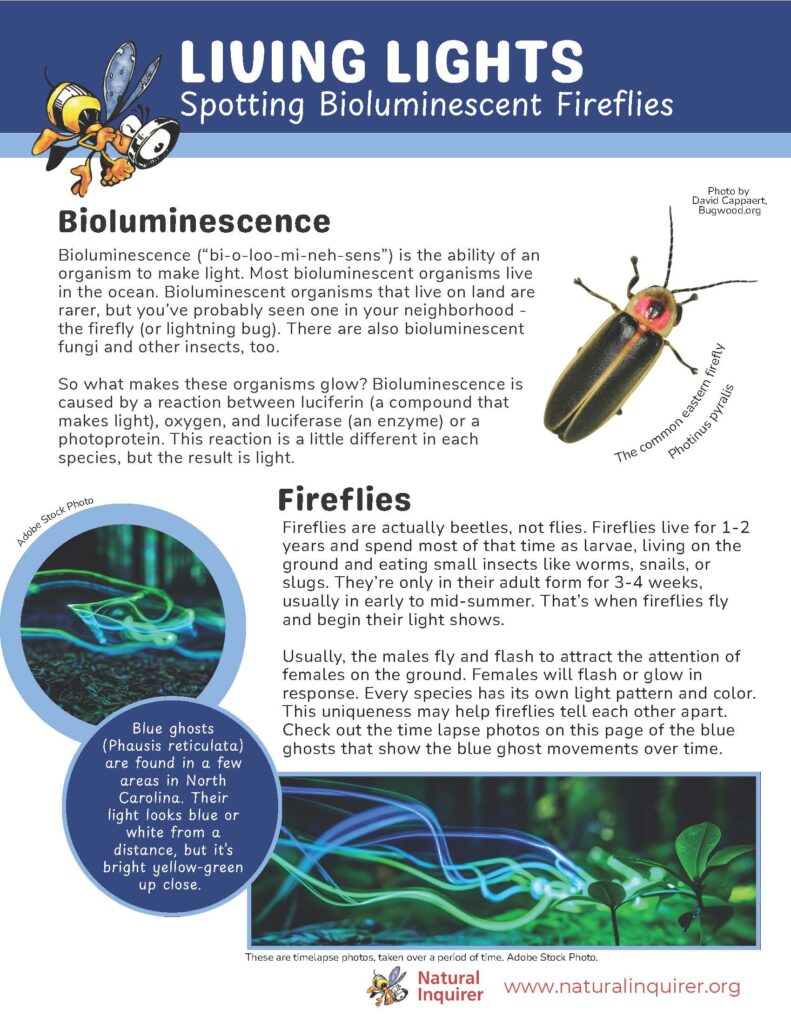 The first page of Living Lights: Spotting Bioluminescent Fireflies