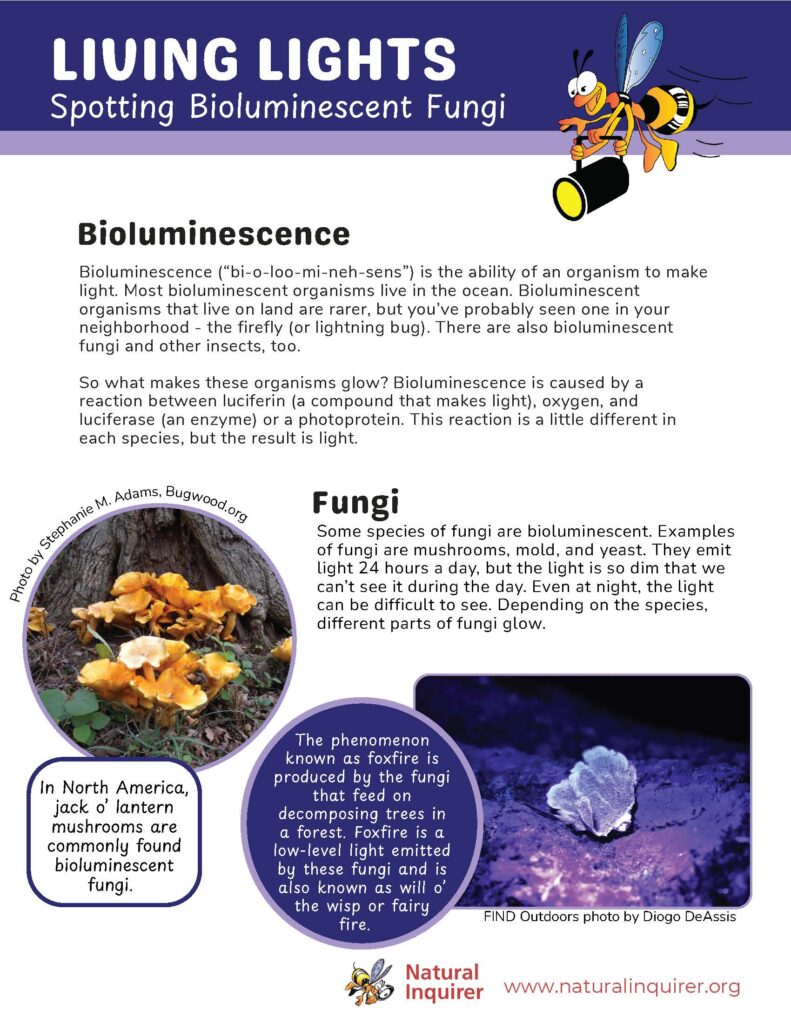 The first page of Living Lights: Spotting Bioluminescent Fungi