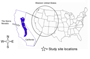 A map of the U.S. highlighting the Sierra Nevada and stars marking the study sites within it. 