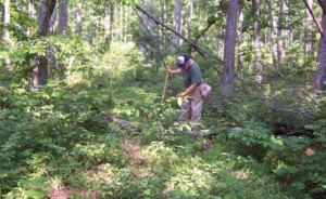 A scientist standing in a forested area