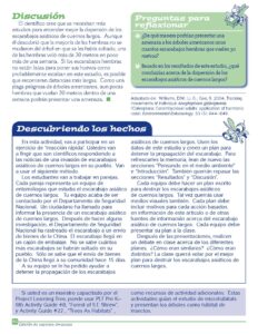 PDF preview of the FACTivity from Tag! You're It! in Spanish