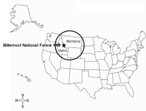 A map of the U.S. highlighting Bitterroot National Forest