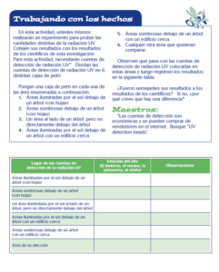 Cover of What You See is Not What You Get FACTivity in Spanish