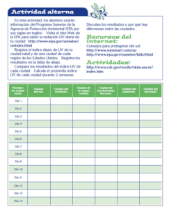 Spanish cover for the What You See Is Not What You Get Alternate FACTivity in Spanish