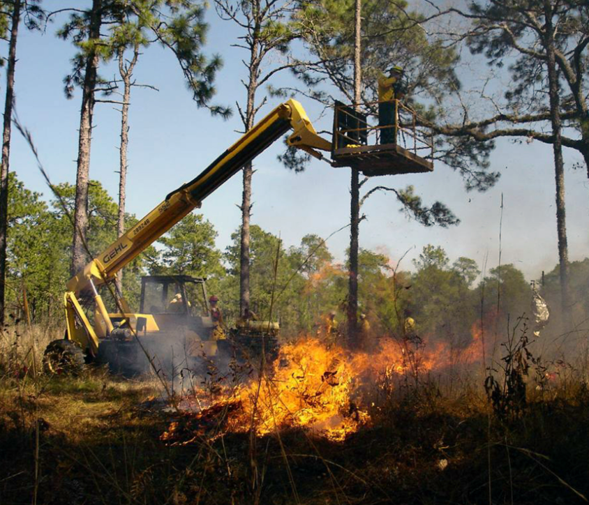 Forest manager on a boom lift above a fire measuring its intensity