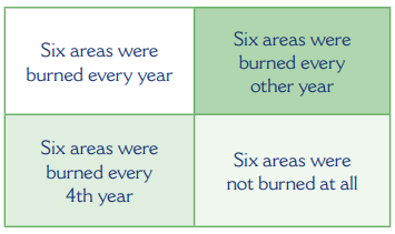 a graphic of four quadrants that read, six areas were burned every year, six area were burned every other year, six area were burned every 4th year, and six areas were not burned at all