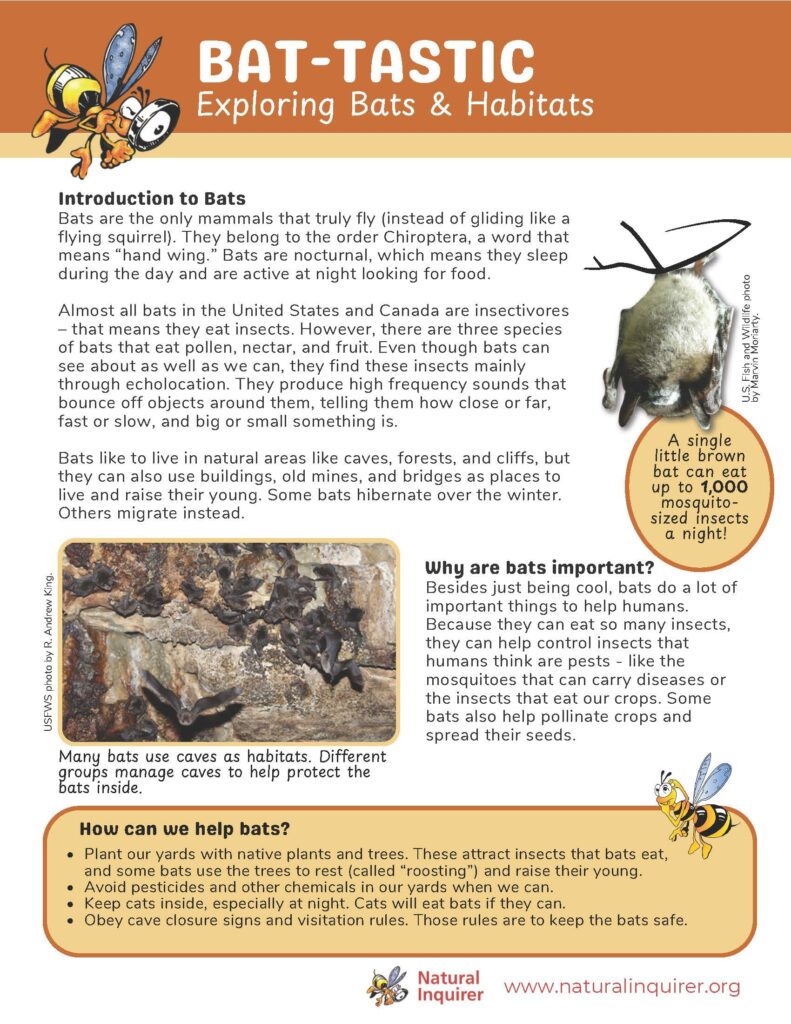 The first page of "Bat-tastic: Exploring Bats and Habitats"