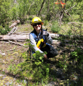Ms. Mead wears a hard hat and kneels by a downed tree in a forest