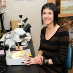 Dr. Arango sits at a microscope
