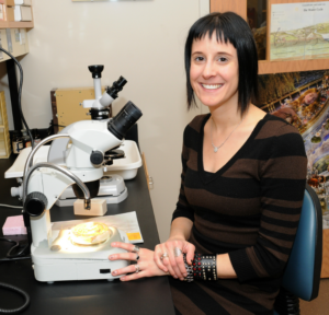 Dr. Arango sits at a microscope
