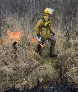 A person in full fire gear starting a prescribed fire