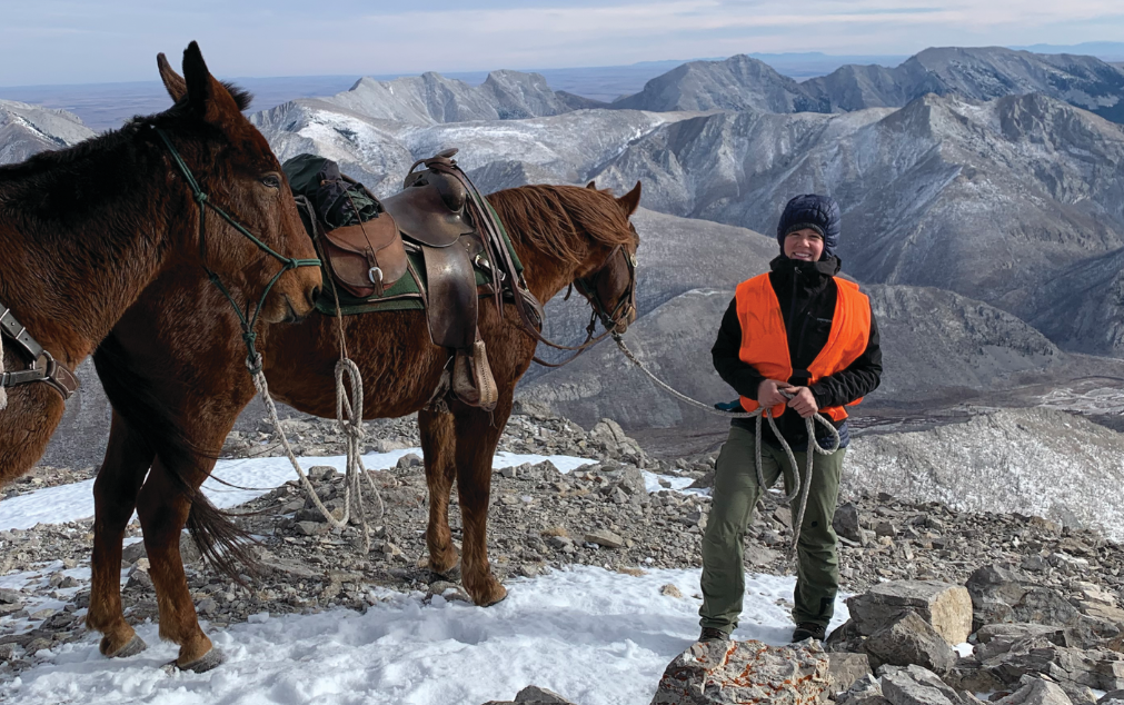 Ellie Fitzpatrick on the top of a mountain leading two horses