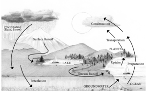 An illustration of the water cycle