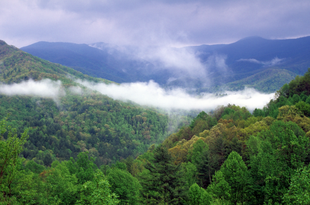 The coweeta basin. A mountain area with clouds.