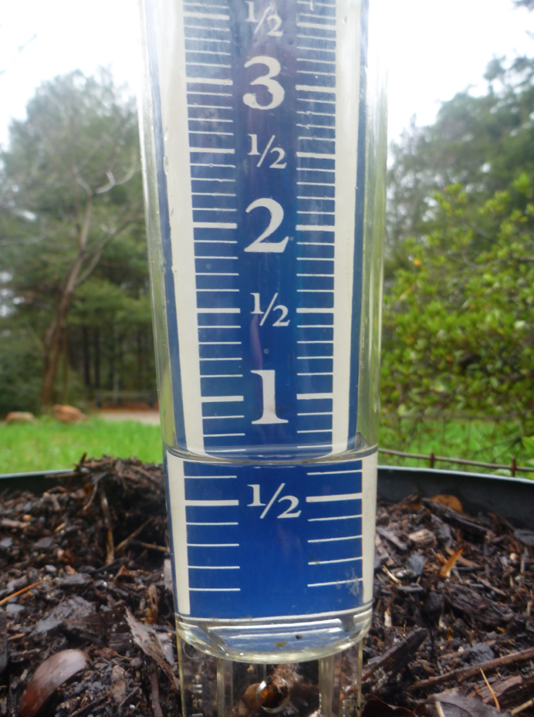 A rain gauge