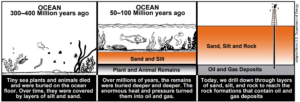 A diagram showing how fossil fuels are made