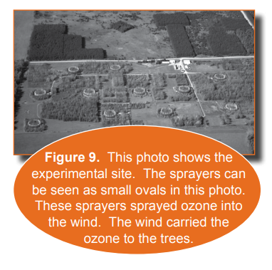 An aerial view of the experimental sights