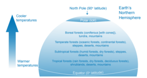 A graphic showing the different forest that are in different temperature regions in the Northern Hempisphere
