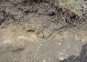 Dirt with rocks and some grass