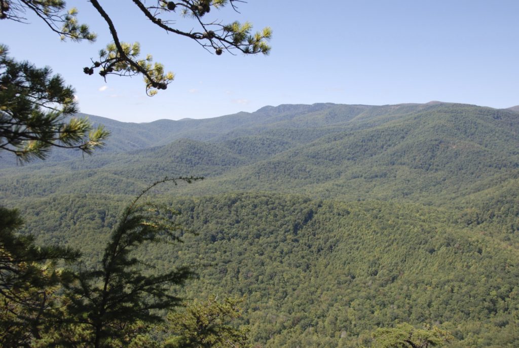Mountain rage with lots of vegetation