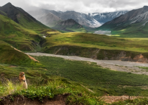 Mountains scape with an arctic ground squirrel in the corner