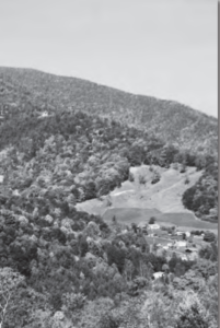 A mountain area with many trees