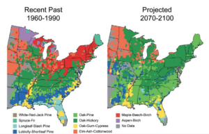 A model of past and future tree species in the eastern half of the U.S.