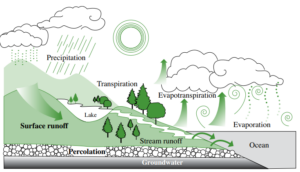 An illustration of the water cycle