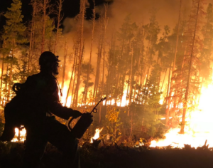 Alfonso in full protective gear holding a torch in a prescribed burn occurring in a forest