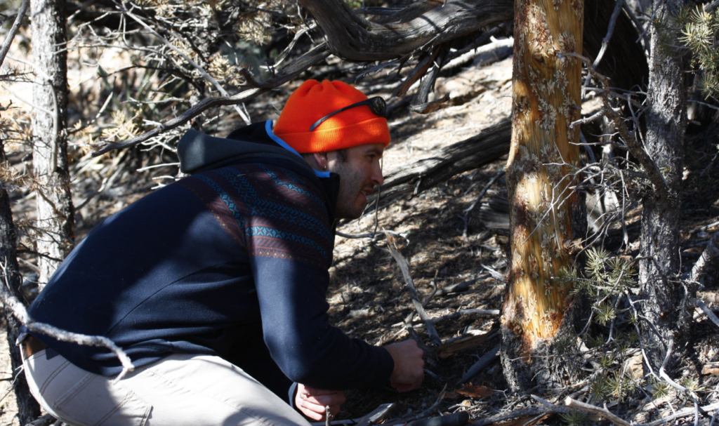 Andrew Graves observing bark in a forest