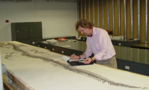 Bruce Schumacher analyzing a fossil on a desk