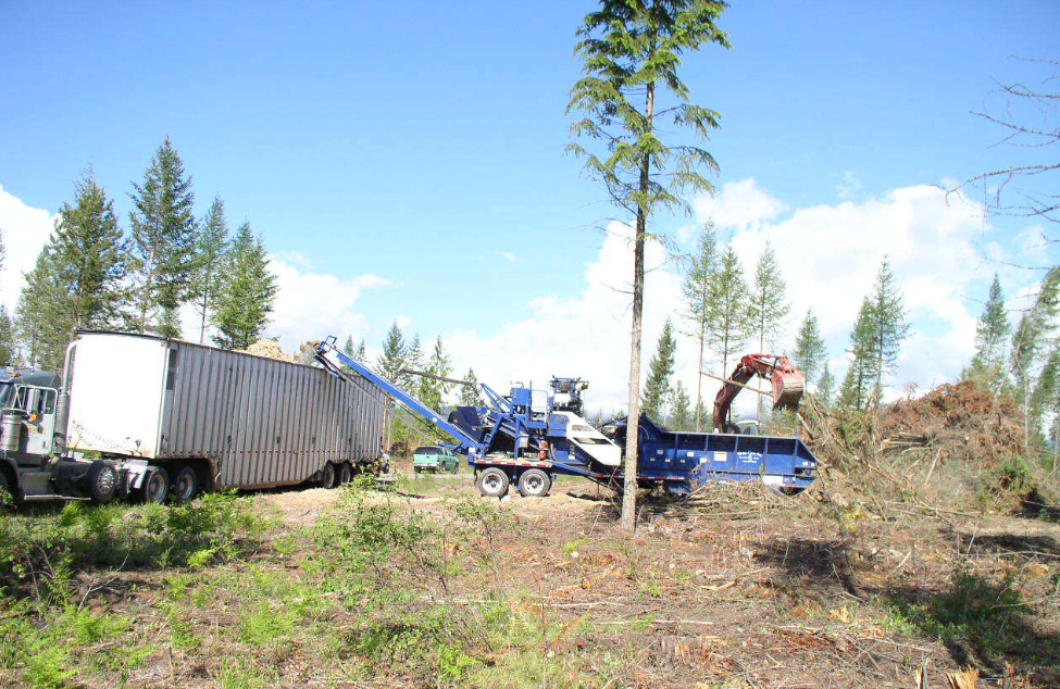 Heavy machinery cutting up trees