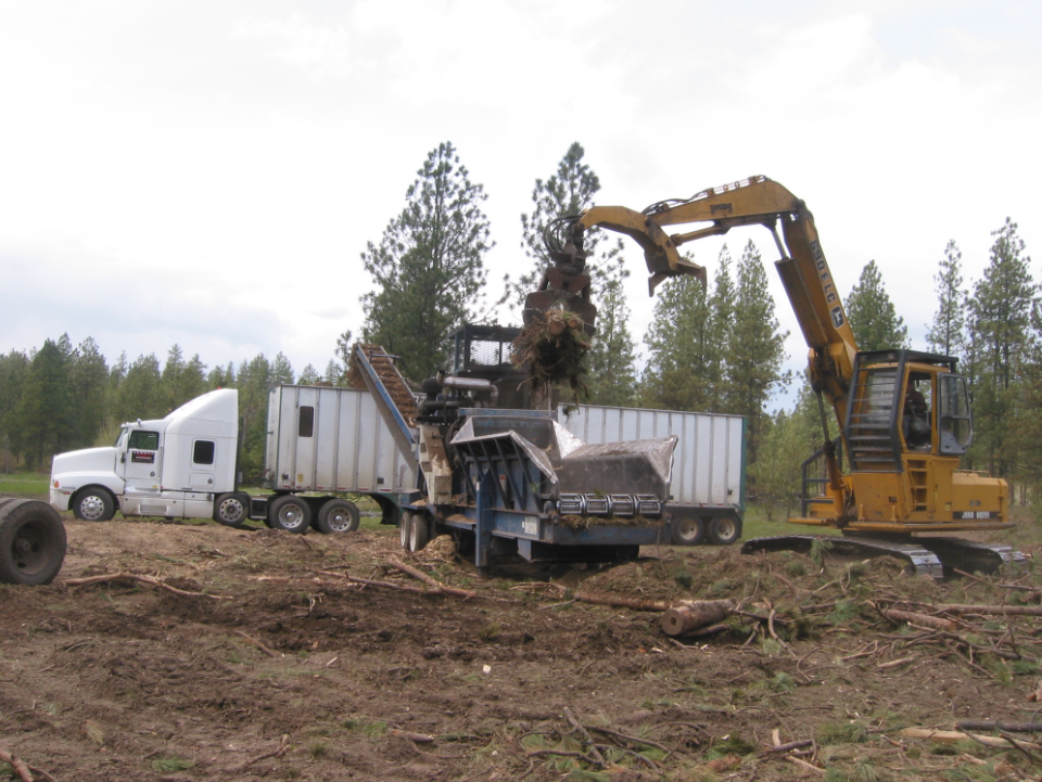 Heavy machinery cutting up trees