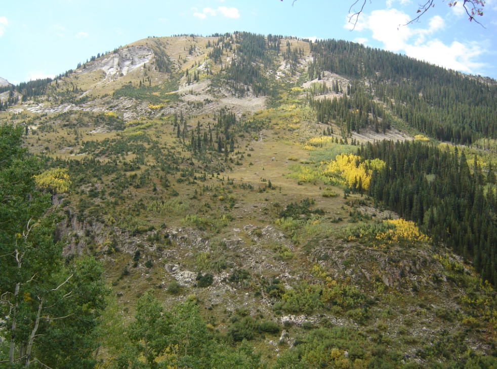 A mountain with many trees and other vegetation on it